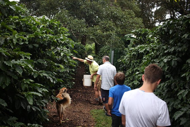 Small Group Coffee Tour (Minimum 2 People) - Key Points