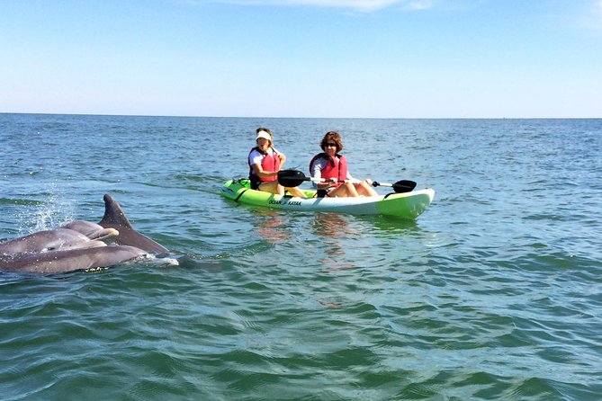 Small Group Dolphin Kayak Eco-Tour - Just The Basics