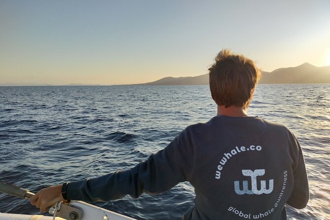 Small Group Dolphin Sunset Tour on Electric Catamaran Lanzarote - Tour Highlights