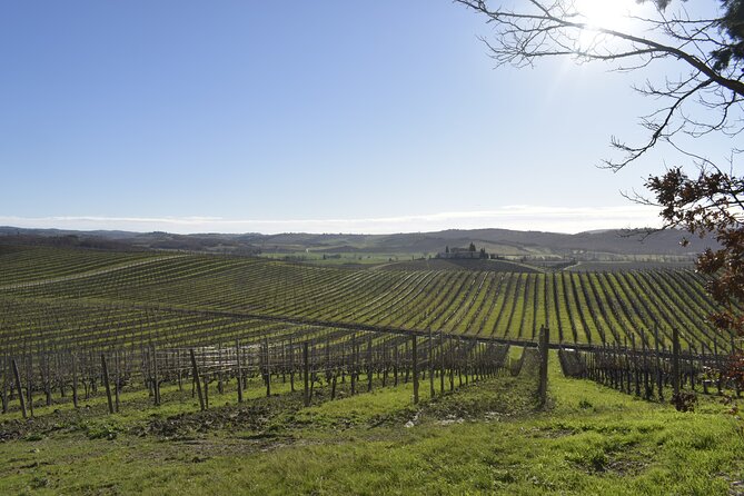 Small Group E-Bike Chianti Tour With Farm Lunch From Siena - Key Points