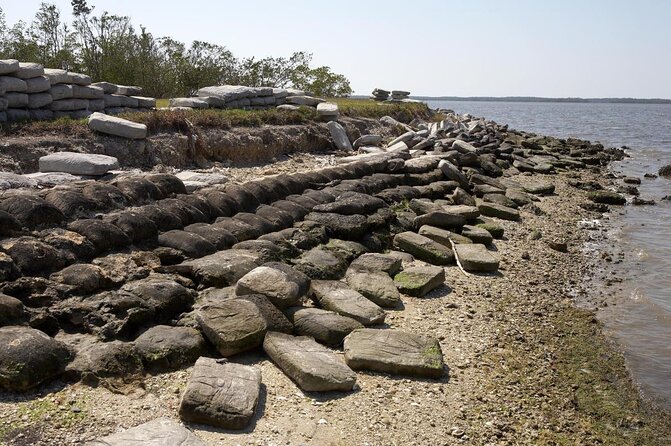 Small-Group Everglades Boating Kayaking and Walking Eco Tour - Key Points