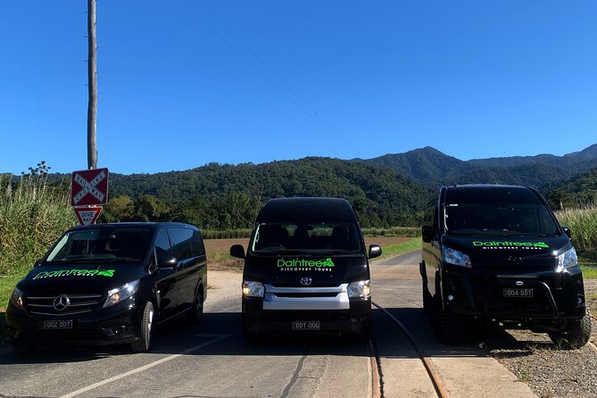 Small Group Full Day Daintree Tour From Port Douglas - Just The Basics