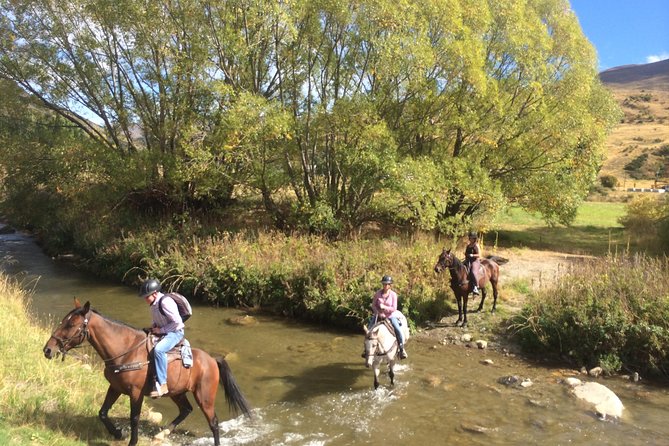 Small-Group Gold Discovery Horse Riding in Cardrona Valley - Key Points