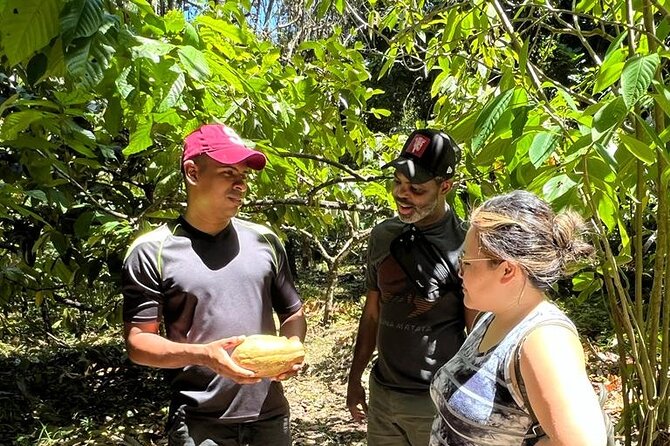 Small-Group Half-Day Indigenous Reserve Cacao & Waterfall Tour  - Limon - Key Points