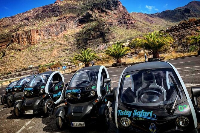 Small-Group Half-Day Twizy Tour in Tenerife (Mar ) - Just The Basics