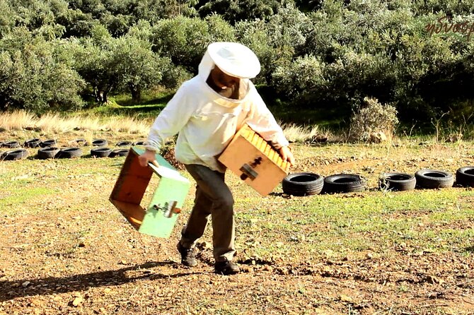Small-Group Honey & Extra Virgin Olive Oil Tasting Tour in Crete - Just The Basics