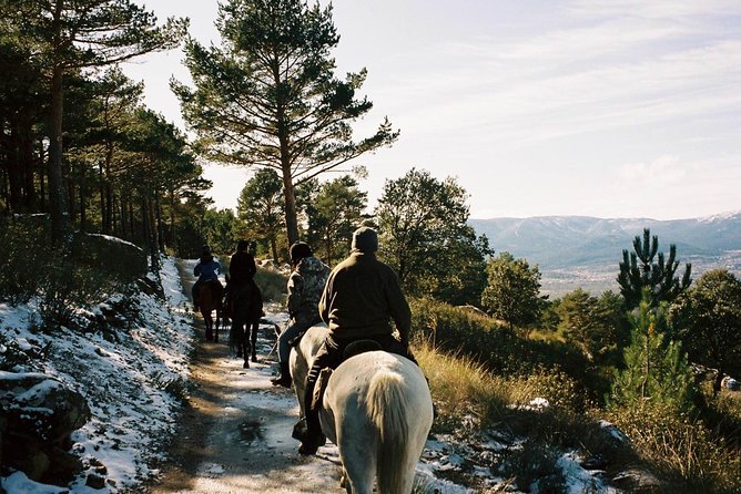 Small-Group Horseback Riding Tour of Sierra De Guadarrama (Mar ) - Just The Basics