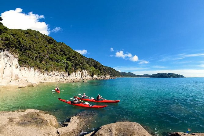 Small-Group Kayak Day Tour With Return Water Taxi, Abel Tasman (Mar ) - Key Points