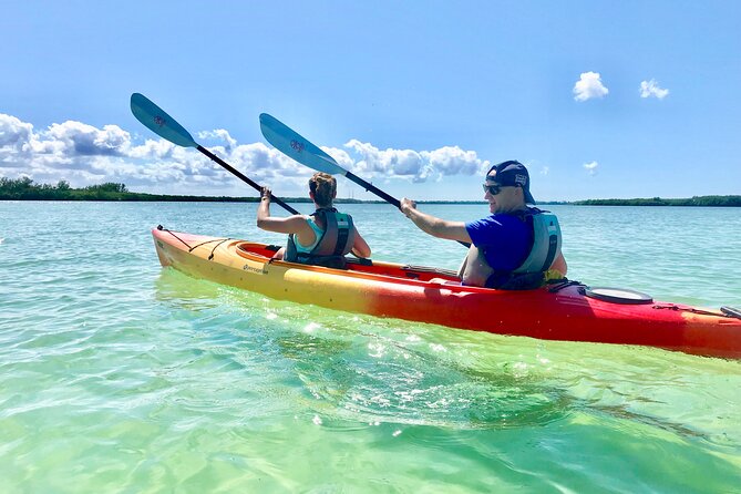 Small Group Kayak Tour of the Shell Key Preserve - Just The Basics