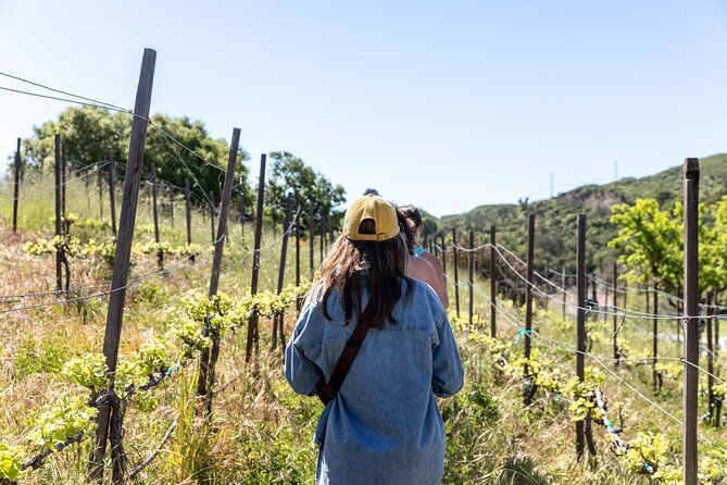 Small-Group Malibu Wine Hike - Just The Basics