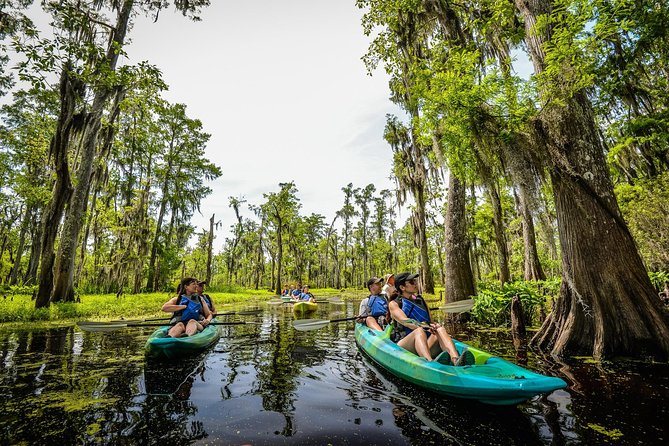 Small-Group Manchac Magic Kayak Swamp Tour With Local Guide - Just The Basics