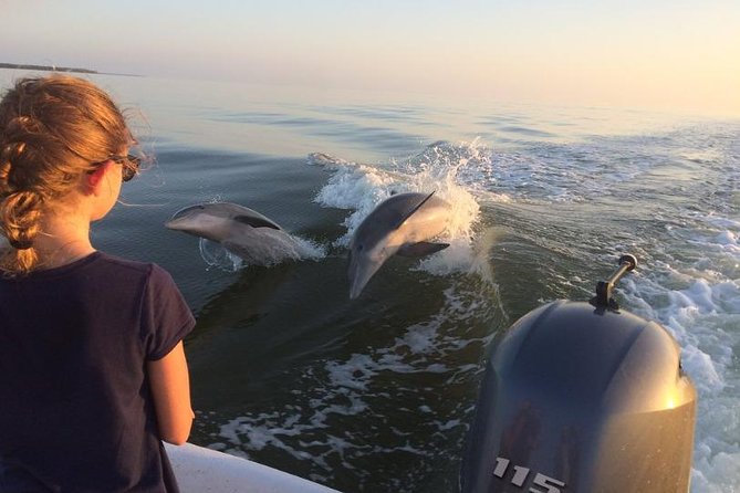 Small Group Motorboat Eco Tour of the Everglades - Tour Highlights