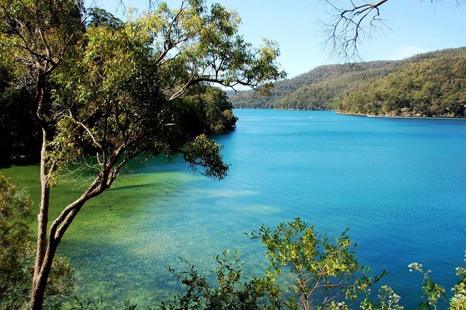 Small-Group Sydneys Northern Beaches and Ku-ring-gai National Park Bus Tour - Key Points