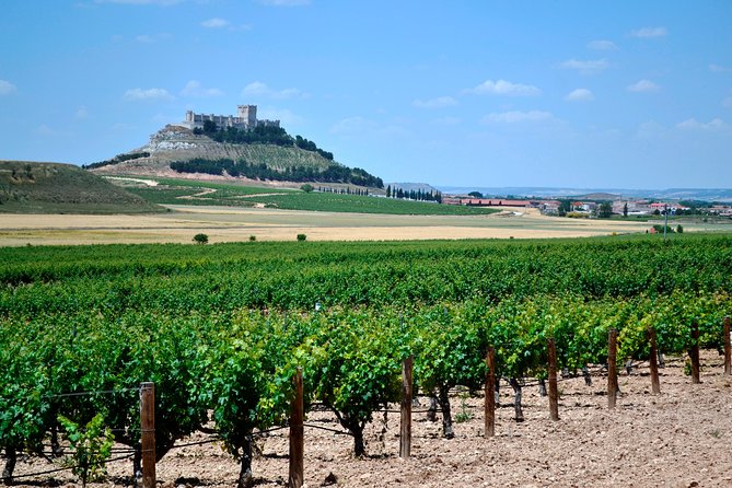 Small Group Tour - Ribera Del Duero Super Taster With Lunch - Key Points