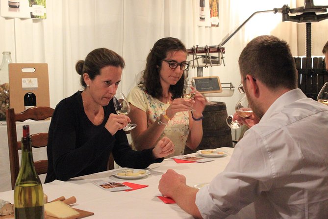 Small-Group Wine and Cheese Tasting in Villié-Morgon  - Lyon - Key Points