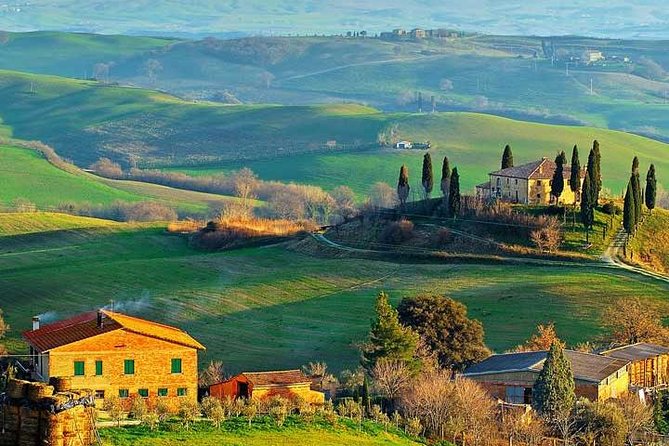 Small-Group Wine Tasting Experience in the Tuscan Countryside - Just The Basics