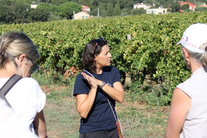 Small Group Wine Tour in the Vineyards of the Gulf of St-Tropez - Key Points