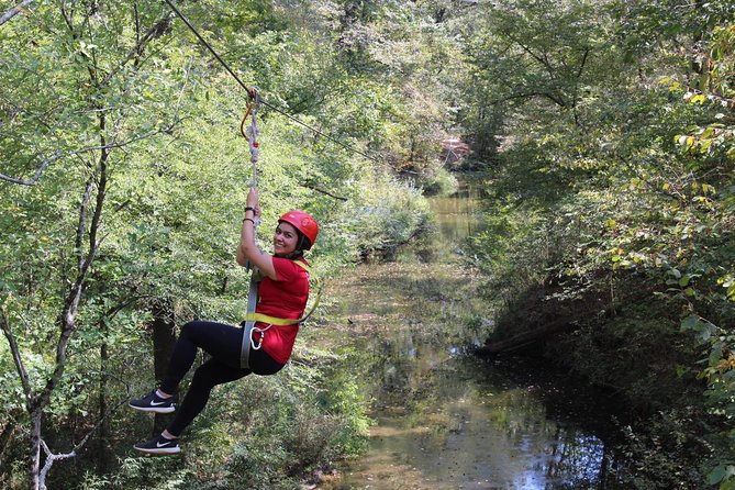 Small-Group Zipline Tour in Hot Springs - Just The Basics