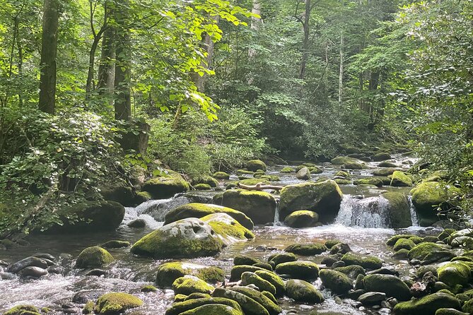Smoky Mountains Roaring Fork Guided Sightseeing Tour by Jeep - Key Points