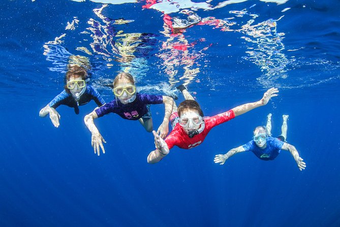 Snorkeling and Boat Tour in Crete - Just The Basics