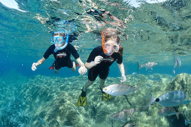 Snorkeling - by Boat on Site in the Bay of Cannes or Estérel - Key Points