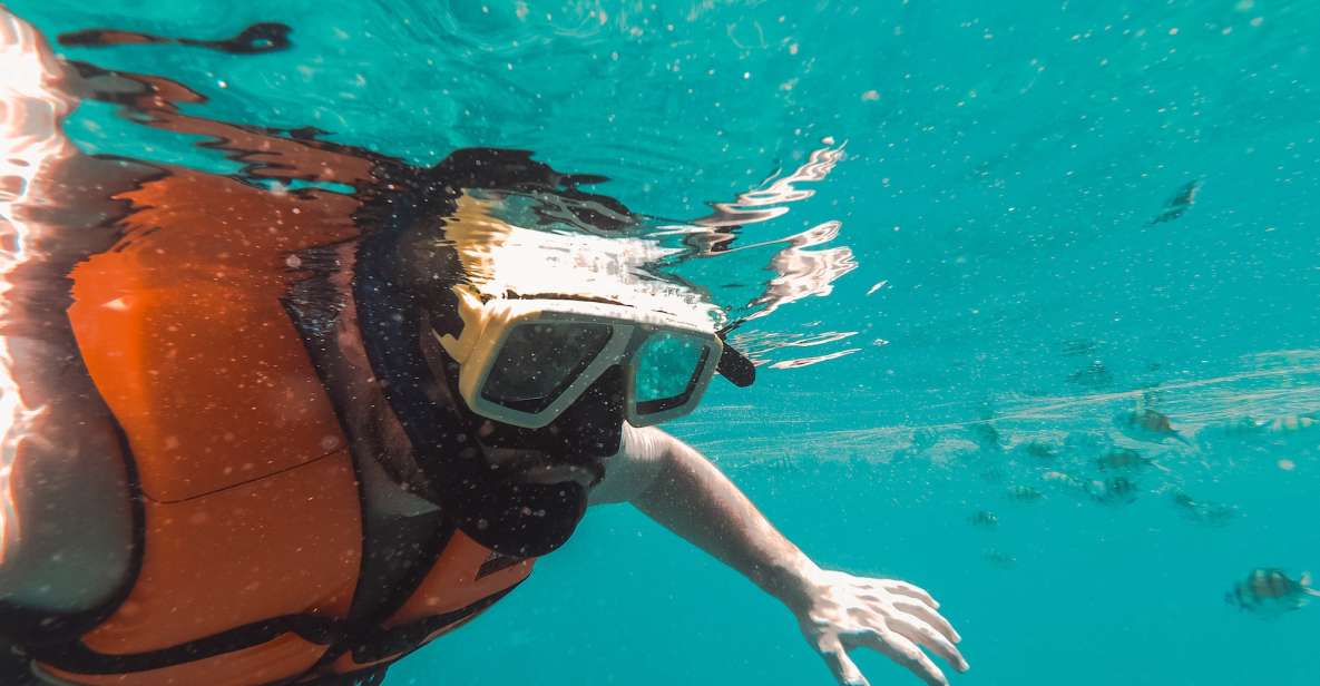 Snorkeling in Negombo - Key Points