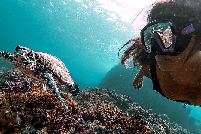 Snorkeling Tour in Caño Island With Lunch - Key Points