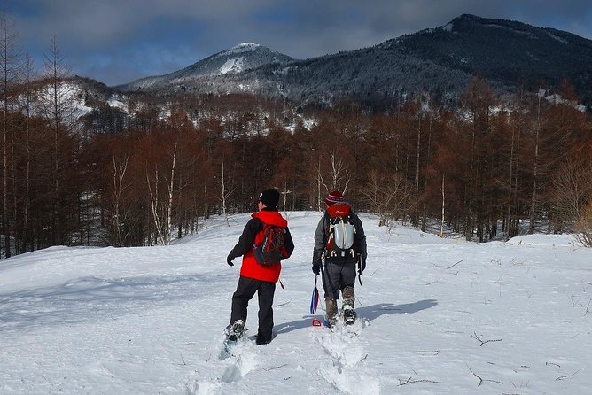 Snow Mountain Hiking to Enjoy With Family! Ice Cream Making Snowshoe - Key Points