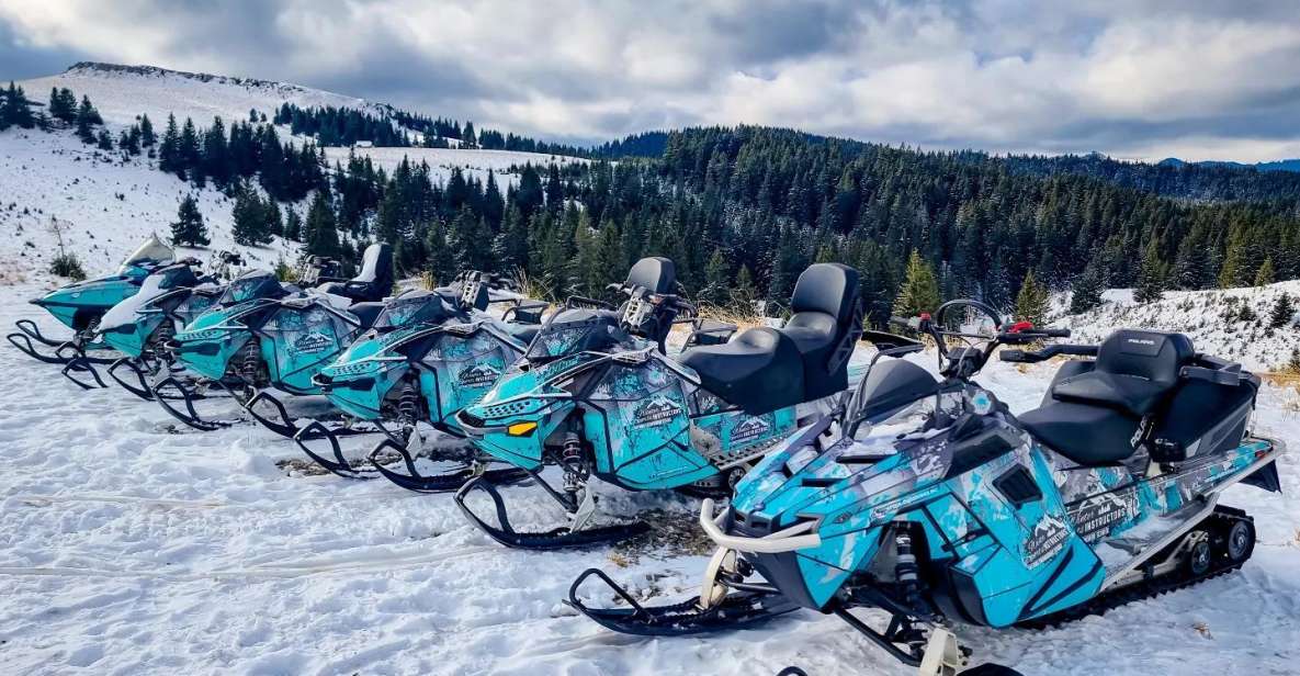 Snowmobile Tour In Bucegi Mountains - Key Points