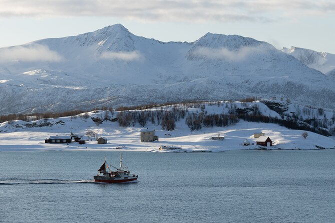 Sommarøy Arctic Day Trip - Key Points