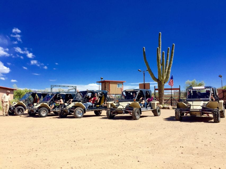 Sonoran Desert Off-Road Tours in Tomcars - Key Points