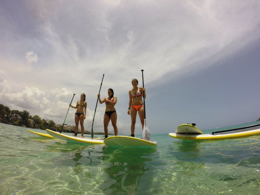 Sosua 2-Hour Stand Up Paddle Boarding - Key Points