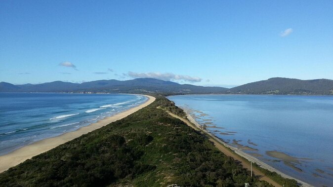 Southwest Tasmania Wilderness Experience: Fly Cruise and Walk Including Lunch - Just The Basics