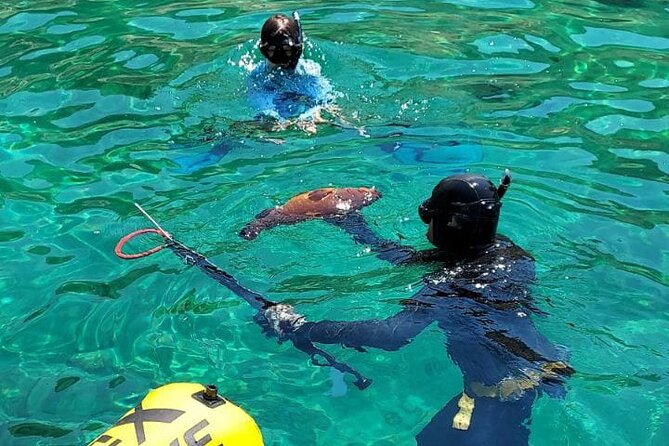 Spearfishing in Chania, Crete (Price Is per Group) - Just The Basics