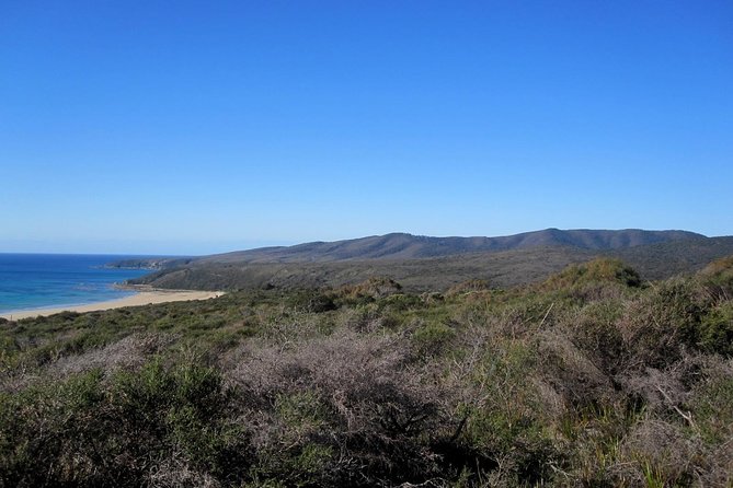 Spend a Day in One of Tasmanias Best Wildlife National Parks - Key Points