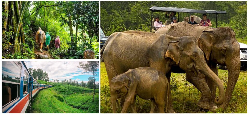 Sri Lanka Green Bless- Ultimate 2 Days Trip to Enjoy Nature - Key Points