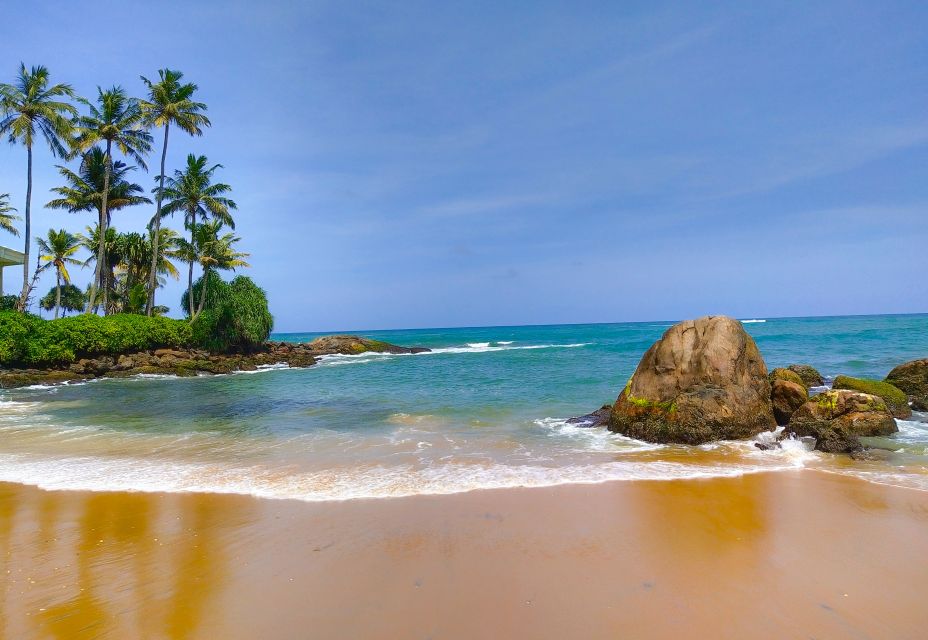 Sri Lanka South Coast Beach, Sinharaja, Udawalawe Safari - Key Points