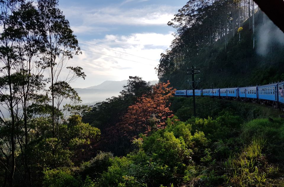 Sri Lanka Wildlife, Udawalawe, Sinharaja, Hill Country Train - Key Points