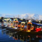 srinagar private day tour with shikara ride at dal lake Srinagar: Private Day Tour With Shikara Ride at Dal Lake