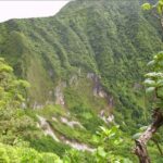 st kitts half day rainforest tour from basseterre St Kitts Half Day Rainforest Tour From Basseterre