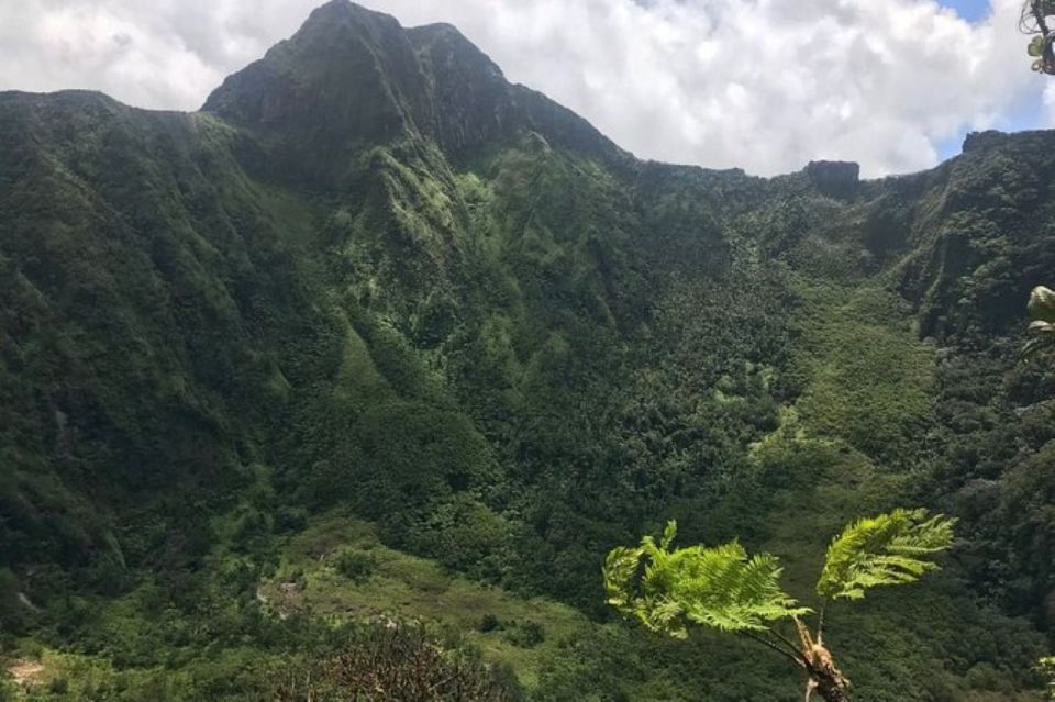 St Kitts: Jungle Bikes Off-Road ATV Tour - Key Points