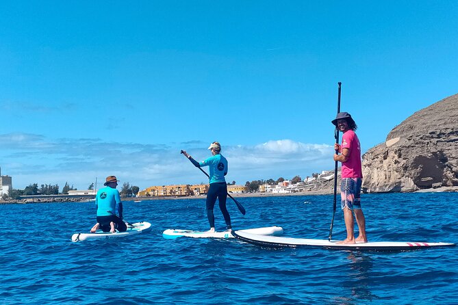 Stand up Paddle and Snorkeling Tour of Gran Canaria With Transfers South Area - Equipment Provided