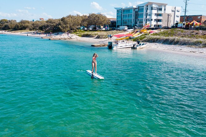 Stand Up Paddle Board Rental in Sunshine Coast - Key Points