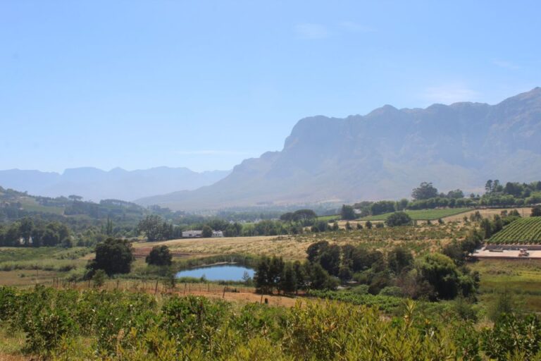 Stellenbosch: Countryside Banhoek Valley E-Bike Wine Tour