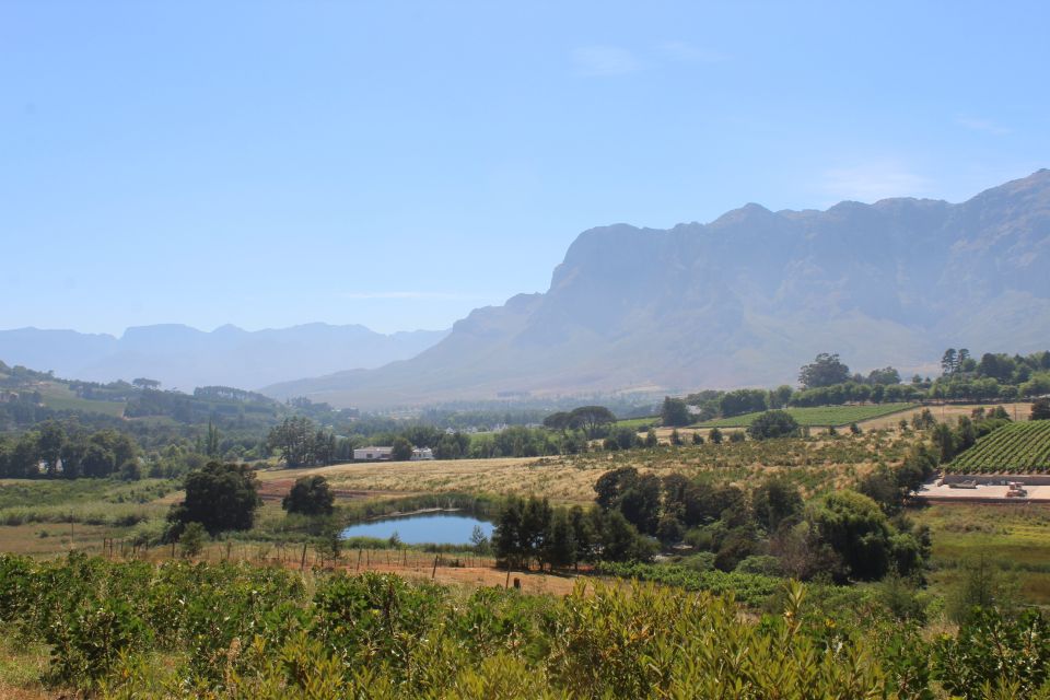 stellenbosch countryside banhoek valley e bike wine tour Stellenbosch: Countryside Banhoek Valley E-Bike Wine Tour