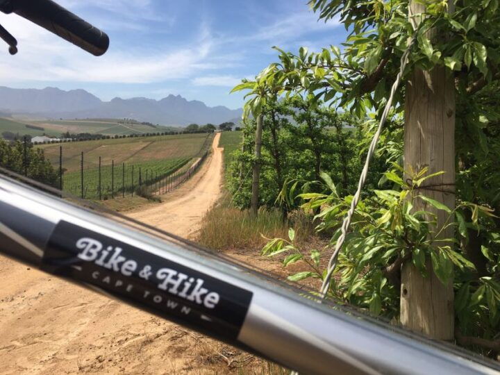 Stellenbosch: Devon Valley Vineyards Bicycle Tour W. Lunch - Just The Basics