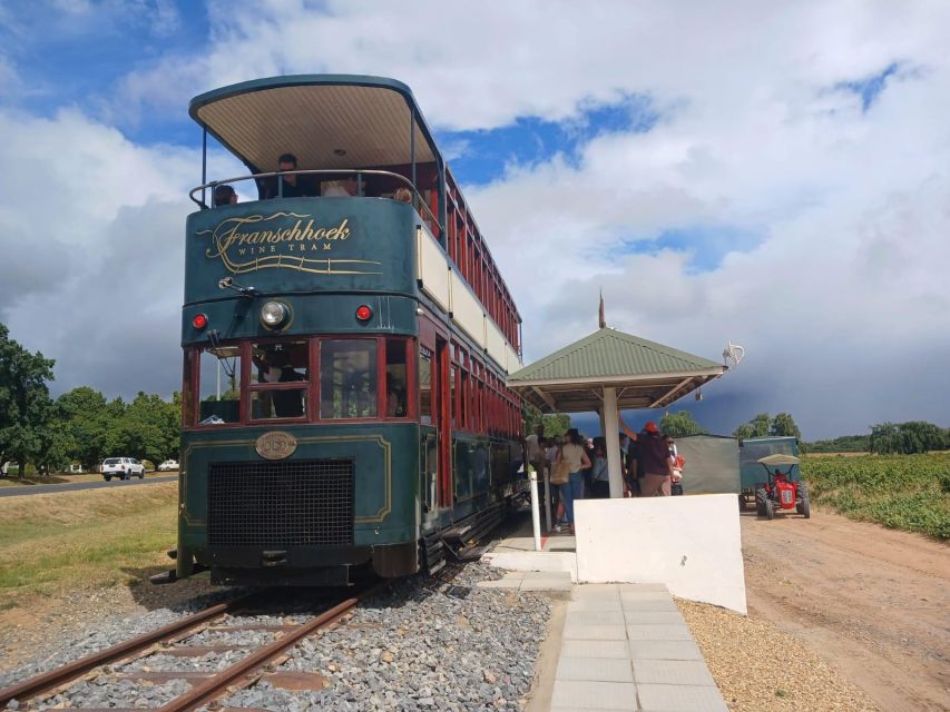 Stellenbosch, Franschhoek Wine Tasting& Tram Ride Group Tour - Just The Basics