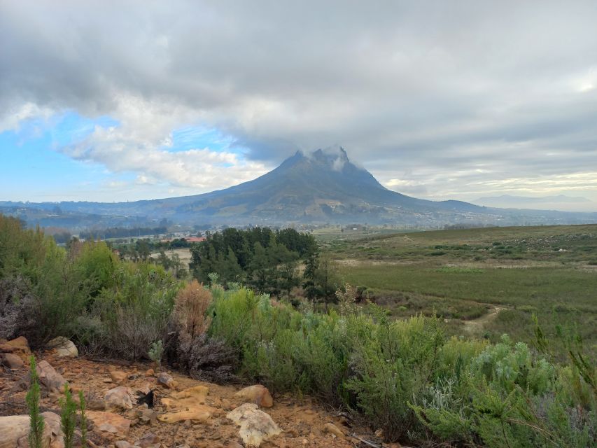 Stellenbosch: Half-Day Guided Nature Hike and Wine Tasting - Key Points