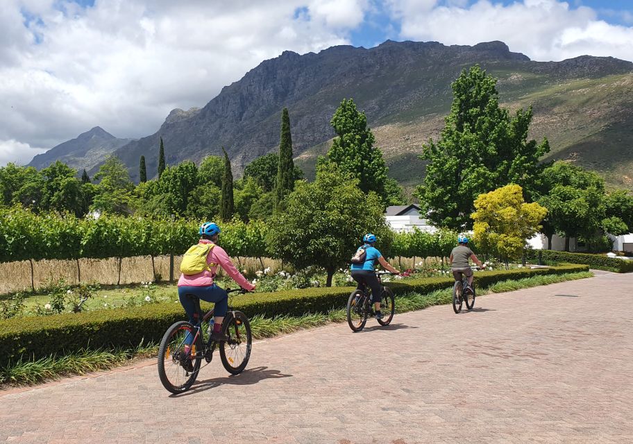 Stellenbosch: Historical Bike Tour & Wine Tasting - Just The Basics