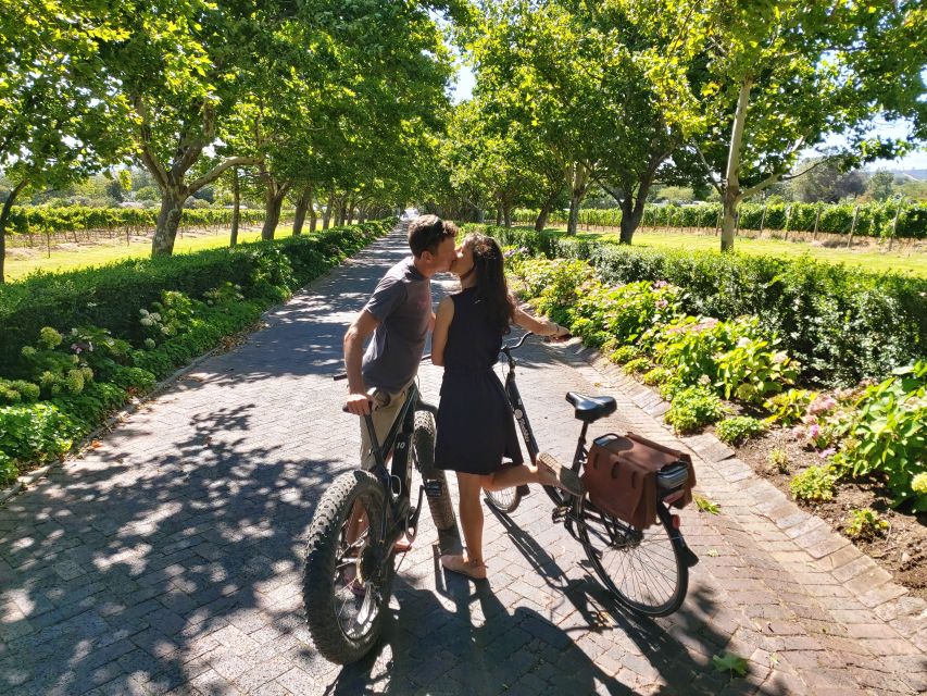 Stellenbosch: Wine Farm E-Bike Guided Tour - Activity Details